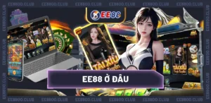 EE88 ở đâu