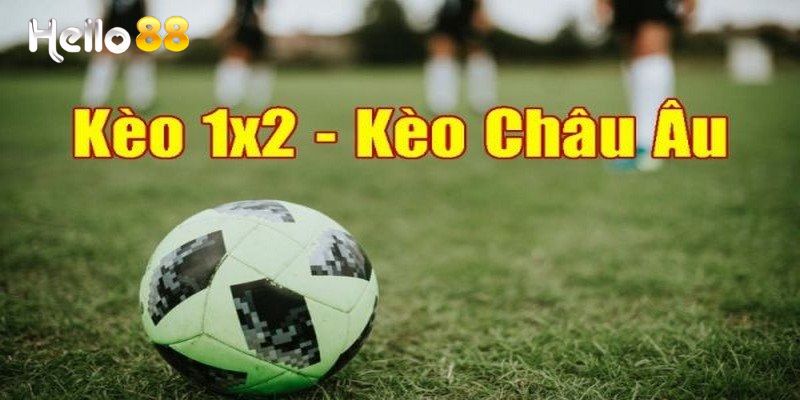 Giao diện bảng kèo Châu Âu dễ hiểu tại Hello88.